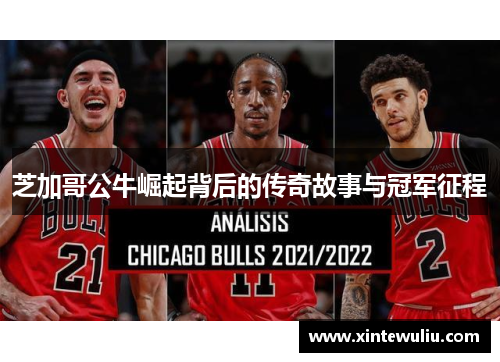 芝加哥公牛崛起背后的传奇故事与冠军征程 芝加哥公牛崛起背后的传奇故事与冠军征程