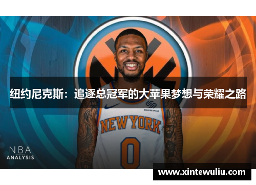 纽约尼克斯：追逐总冠军的大苹果梦想与荣耀之路