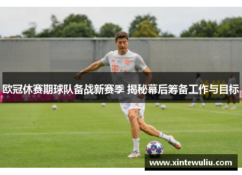 欧冠休赛期球队备战新赛季 揭秘幕后筹备工作与目标