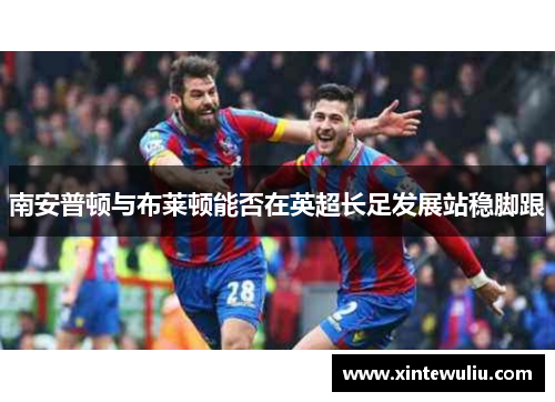 南安普顿与布莱顿能否在英超长足发展站稳脚跟