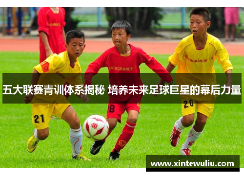 五大联赛青训体系揭秘 培养未来足球巨星的幕后力量