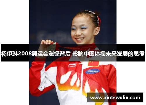 杨伊琳2008奥运会遗憾背后 影响中国体操未来发展的思考